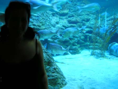 18 big shark tank