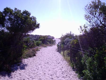trail to beach