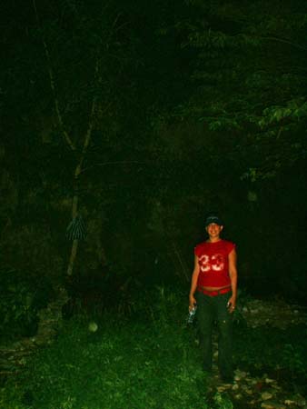 stef in wonderland