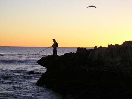 cool picture of fishing