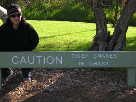 tiger snake in grass sign