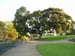 keith walking up by nice tree